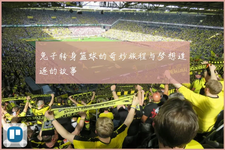兔子转身篮球的奇妙旅程与梦想追逐的故事
