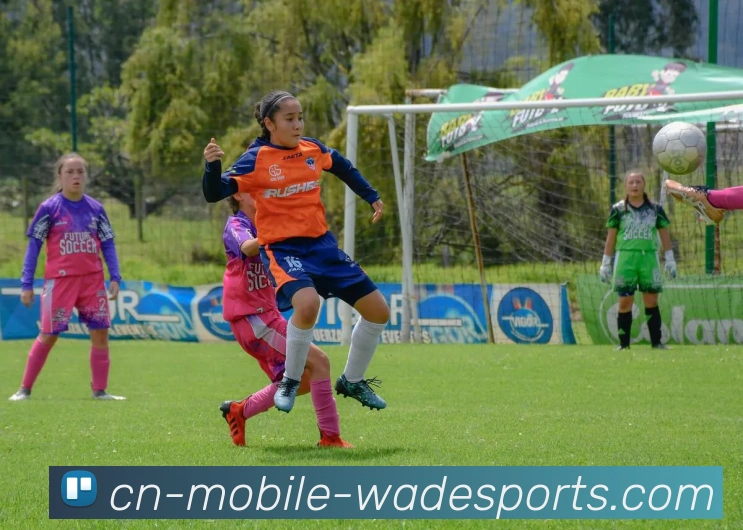 betvictor中国平台生态图